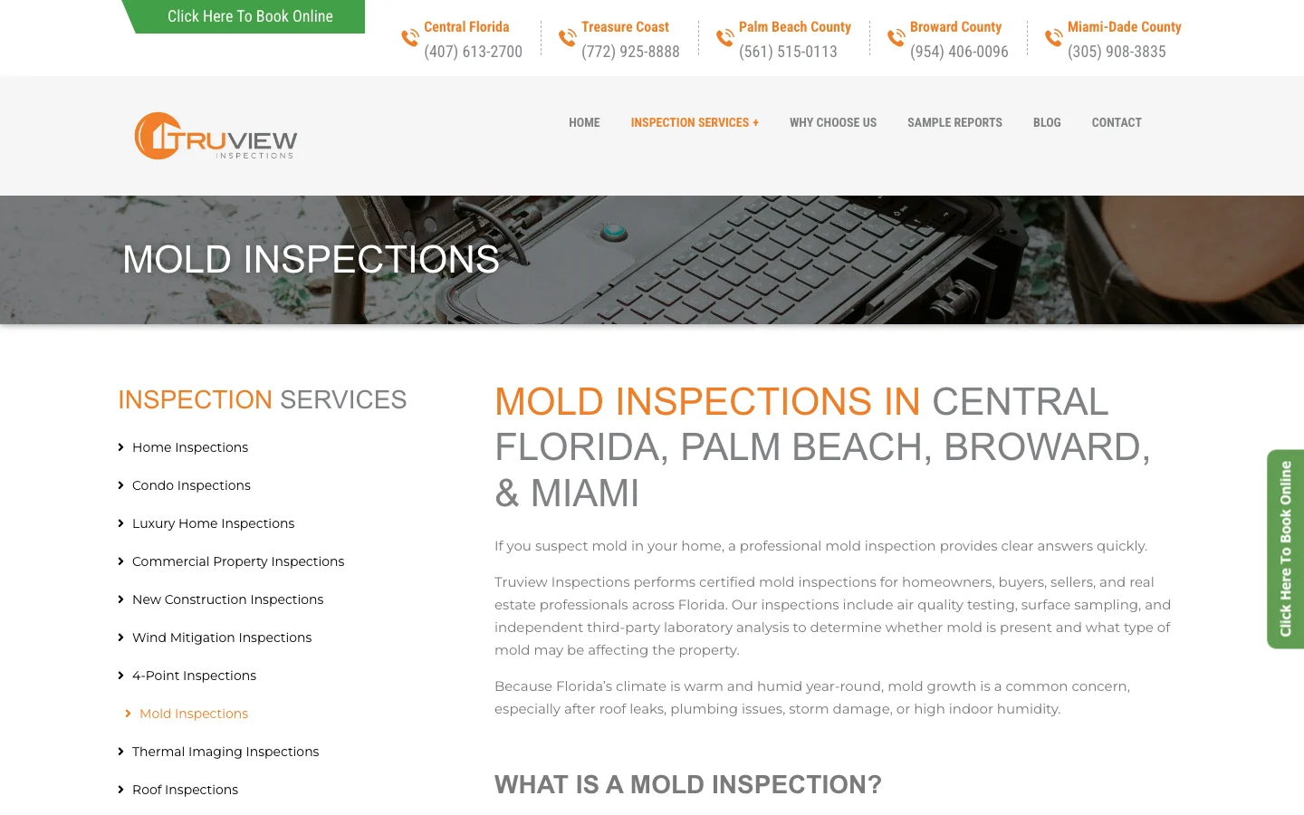 TruView mold inspections service hero, April 2026 reference crop.