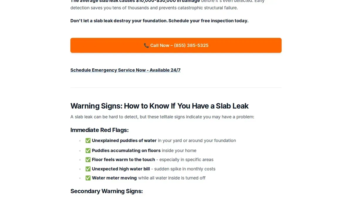 Viewport of Total Leak Detection's slab leak service page