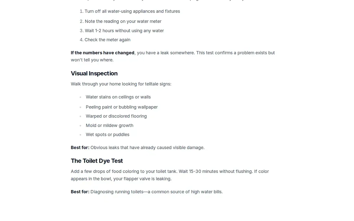 Viewport of Total Leak Detection's DIY vs professional leak detection article