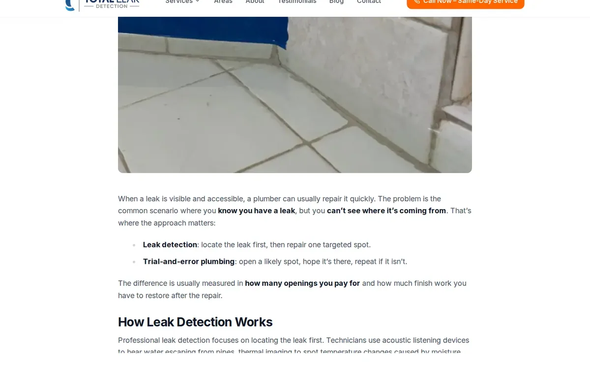 Viewport of Total Leak Detection's trial-and-error article discussing targeted repair planning