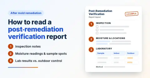 Illustration of a post-remediation verification report layout with three numbered sections: inspection notes, moisture readings and sample spots, and lab results compared with an outdoor control