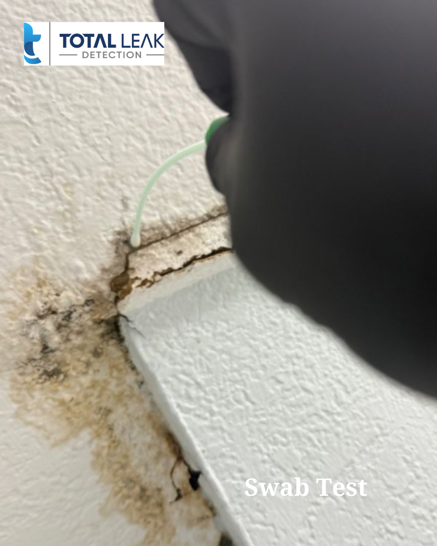 Mold testing of early mold growth after water damage in Florida home
