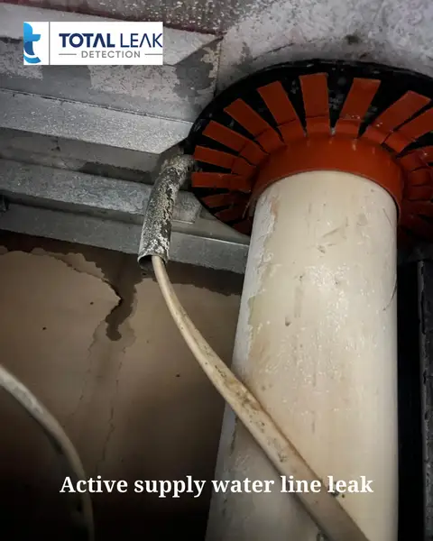 Active supply water line leak requiring emergency response in South Florida home