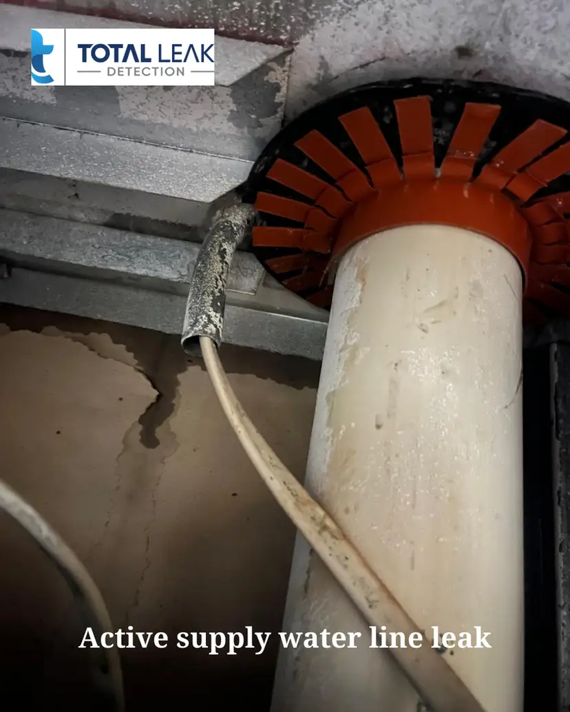 Active supply water line leak discovered during professional inspection