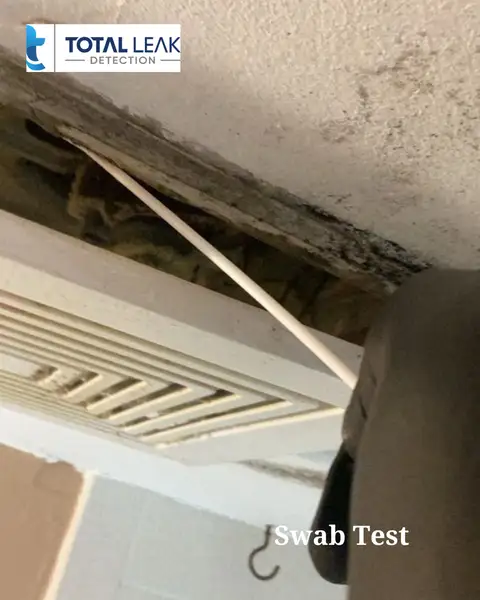 Swab test detecting hidden mold behind wall surfaces