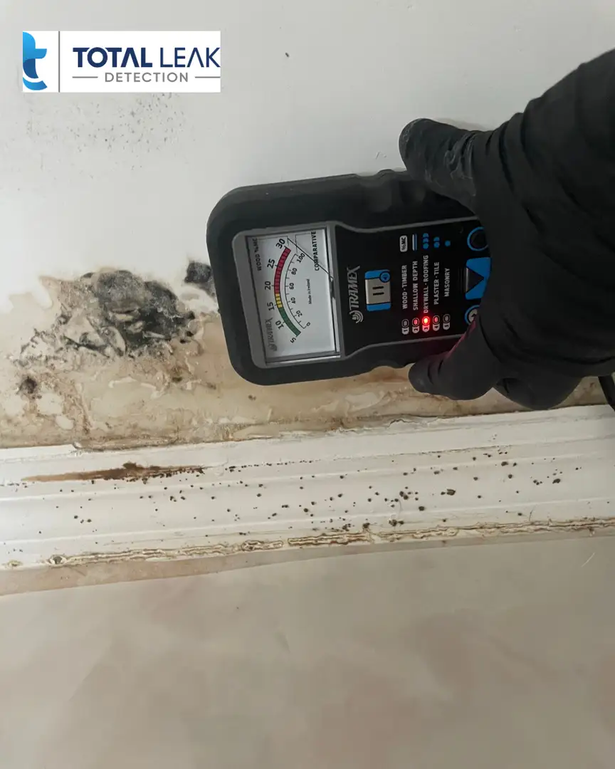 Water Damage Mold Assessment - Total Leak Detection