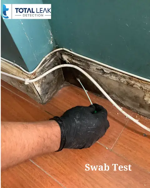Mold inspection detecting hidden mold growth behind baseboards and walls