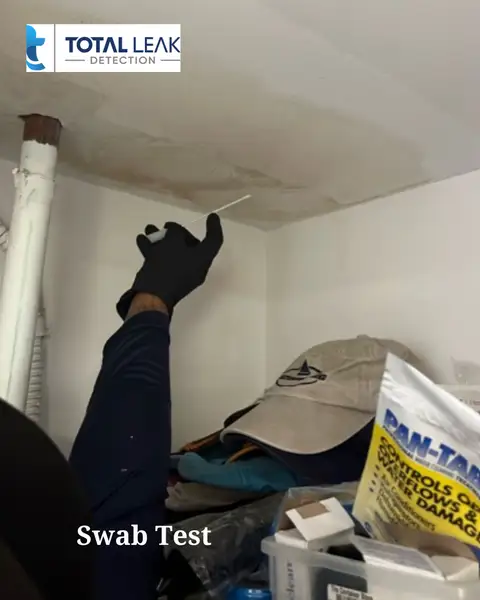 Mold testing under sink after small water leak