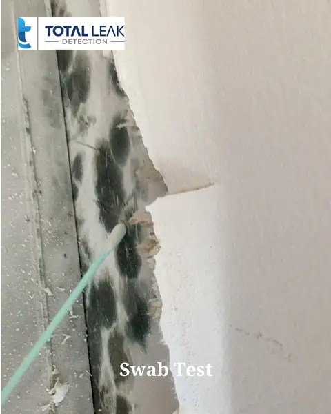 Bathroom Mold Testing - Total Leak Detection