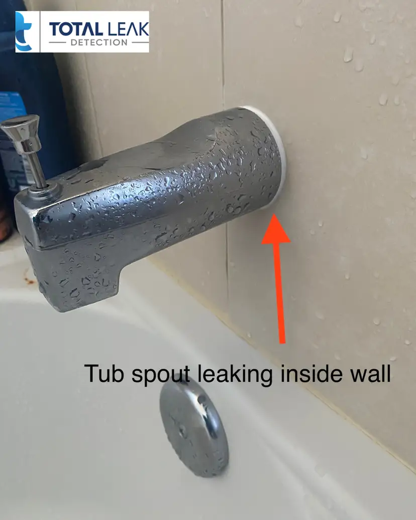 Plumbing inspection identifying tub spout leakage during bathroom assessment