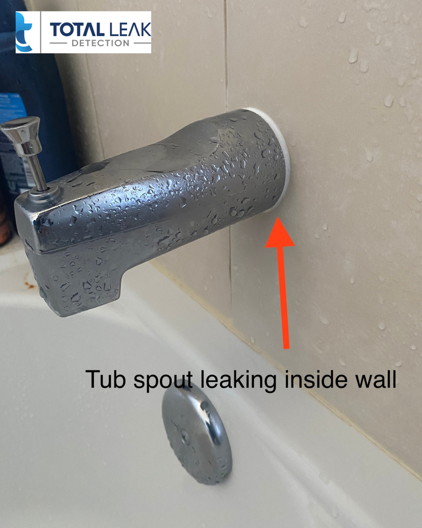 Professional plumbing inspection to prevent water leaks in South Florida home