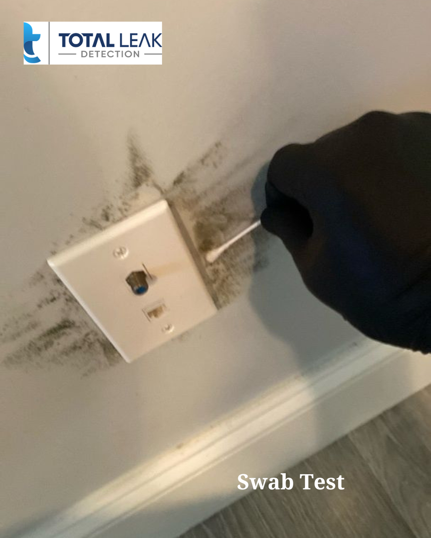 Visible mold being tested before remediation process