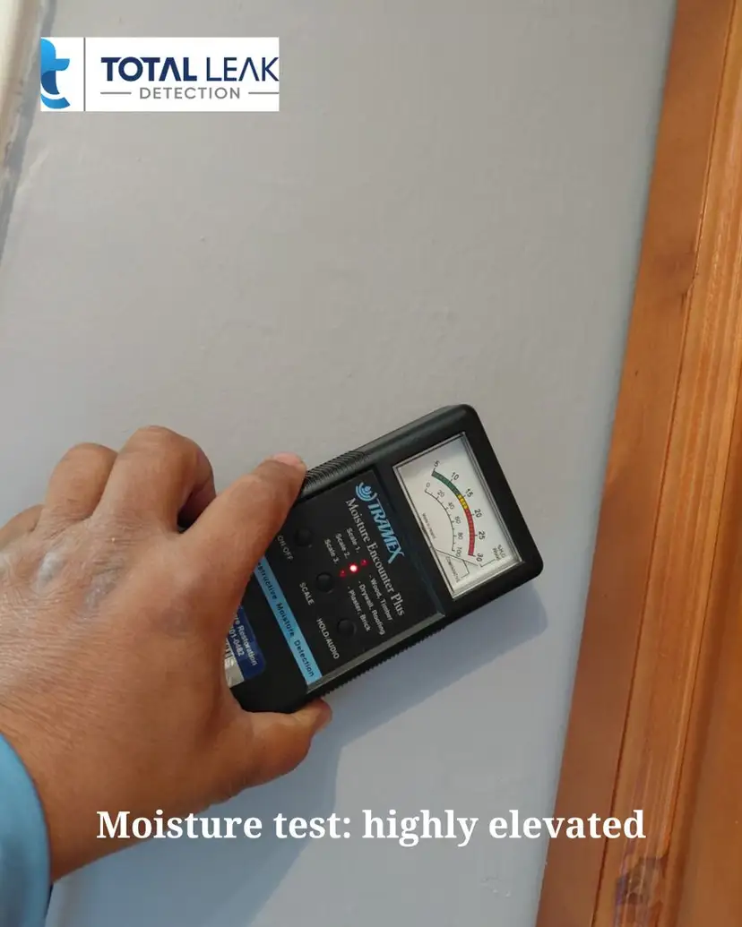 Moisture meter reading highly elevated on drywall.