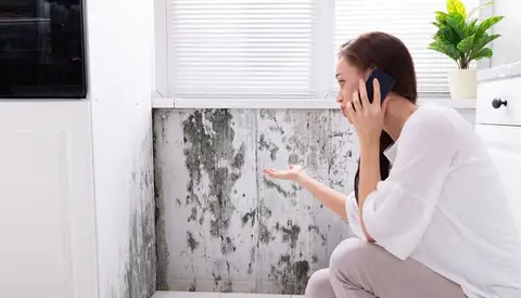 Mold Testing Services - Total Leak Detection